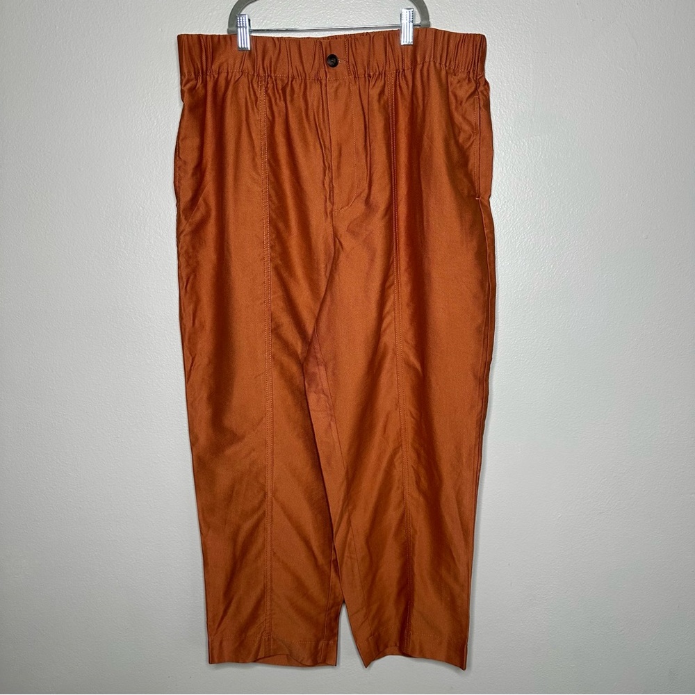 Madewell Women’s Tapered Huston Pull-On Crop Pants XL - Picture 2 of 9